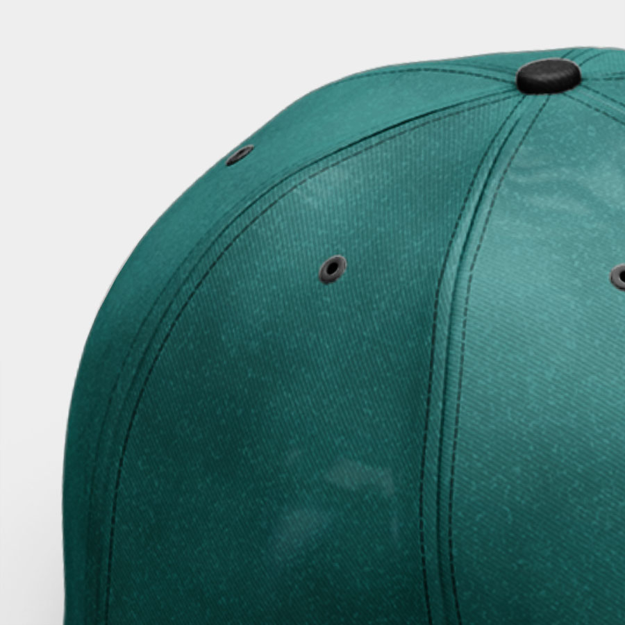 Class aptent taciti sociosqu - Billede 2